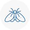 Moth Control Specialists In Banchory